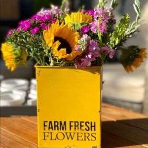 Meet your Posher, Donna